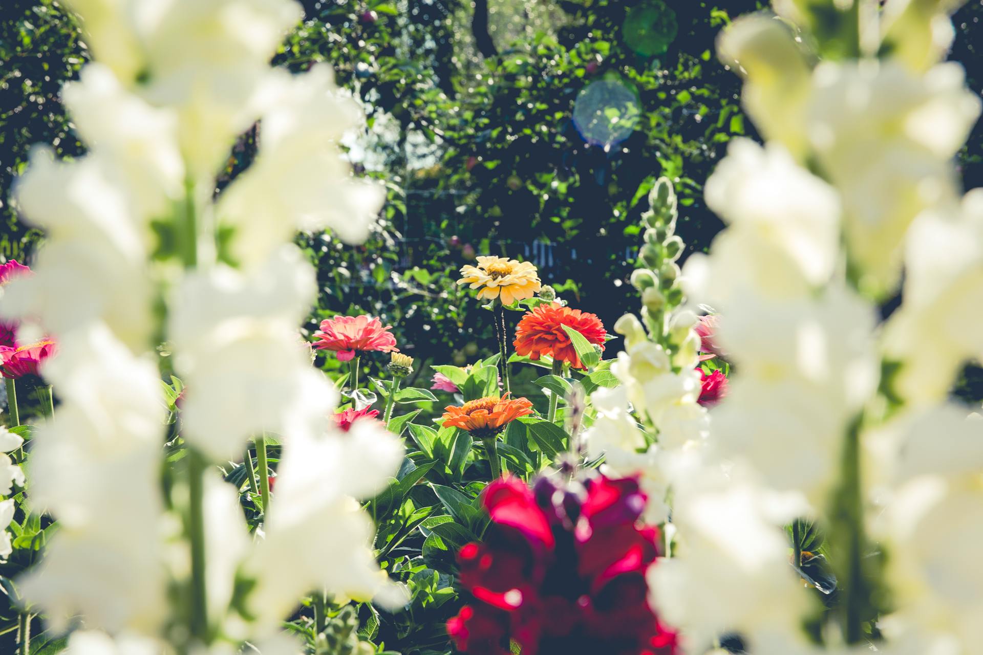 Community garden apartments for healthy city living | Minut